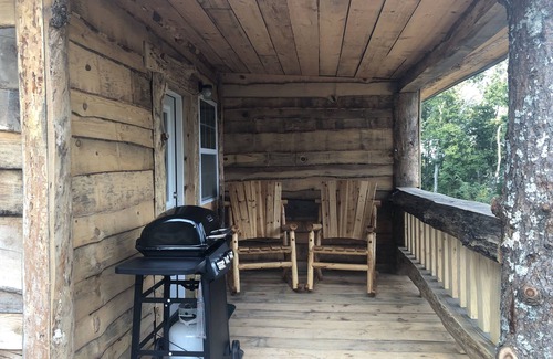 Wildwood Apartment | Tree Top View