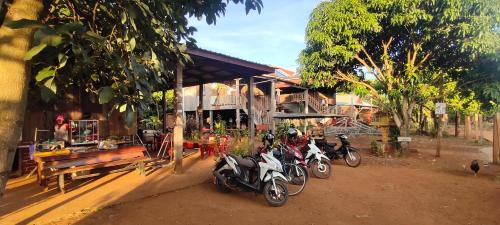 Ban Lung Cabin | Tree Trails Homestay & Offers Jungle Trekk-Scooter For Rental
