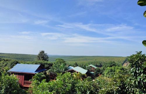 Ban Lung Cabin | Tree Trails Homestay & Offers Jungle Trekk-Scooter For Rental