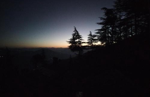 Chail House | Tree Valley Homestay Chail