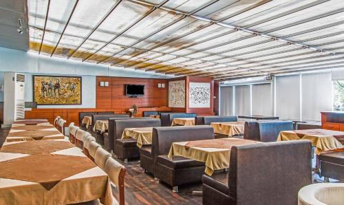 Palasia Hotel | Treebo Cherry Tree