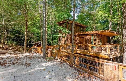 Rogers Apartment | Treehouse - Amazonia - Red River Gorge, KY