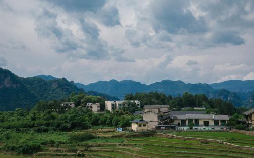Yongding Hotel | treehouse