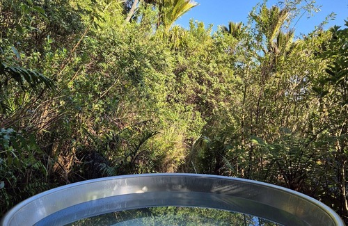 Punakaiki House | Treescapes