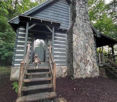 Cedar Mountain House | Treetop Cabin