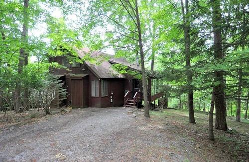 The Woods House | Treetop Cabin