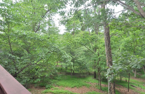 The Woods House | Treetop Cabin
