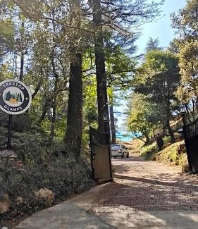 Bullawala Resort | Treetop Glamps