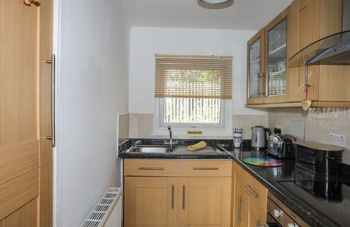 Bont Newydd Cottage | Treetops