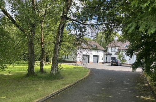 Coleraine Apartment | Treetops