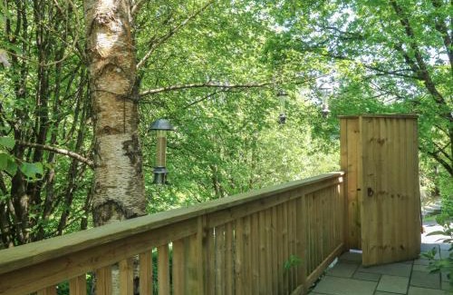 Newton Poppleford House | Treetops