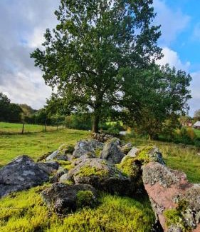 Burseryd Villa | Trehornahult Lillstugan