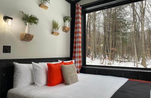 Lake George Hotel | Trekker, Treehouses cabins and lodge rooms