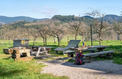 Guckinsdorf Other | Trekking Camp am Renchtalsteig