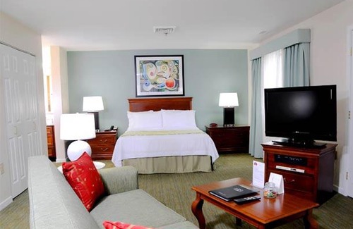 Herndon Apartment | Trellis Herndon