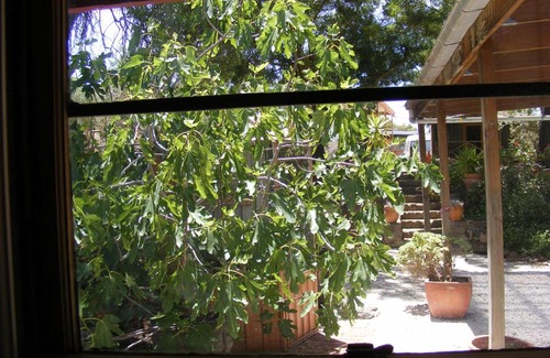 Penwortham Bed & Breakfast | Trevalia Accommodation