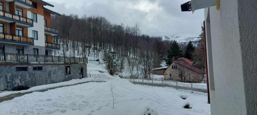 Bakuriani Apartment | Trialeti Sweet Home