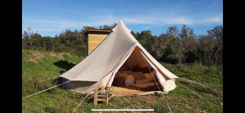 Silves Other | Tribu Lodge