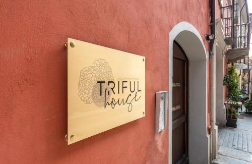 Alba Apartment | trifulhouse holiday apartments