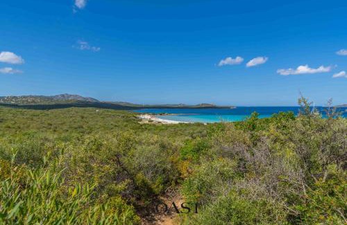 Portisco Apartment | Trilocale con giardino e vicino alla spiaggia