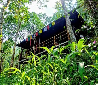 Devikolam House | Triloka by The Offbeat Crew