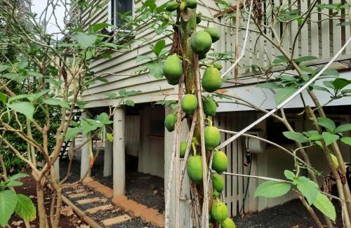 Wondai House | Trinity House