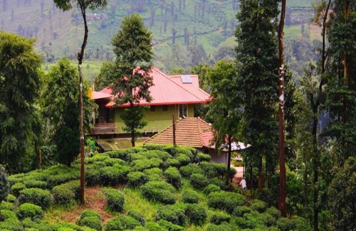 Mudigere House | TripThrill Hasiru Homestay