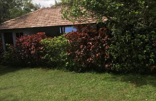 Mudigere House | TripThrill Hasiru Homestay