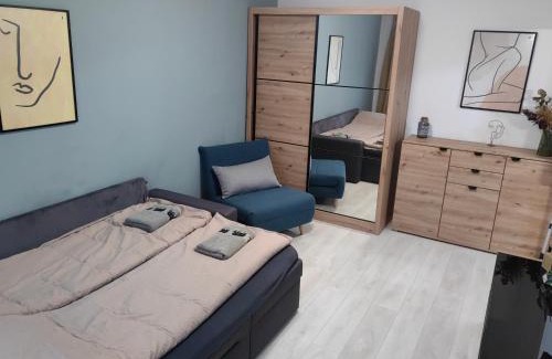Sfantu Gheorghe Apartment | Tristan`s Home