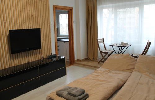 Sfantu Gheorghe Apartment | Tristan`s Home