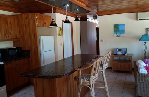William's Town House | Tropic of Cancer Beach - Fabulous Beachfront Home on Pristine Beach