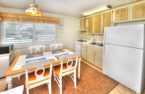 Daytona Beach Shores Apartment | Tropical 2 Bedroom Apartment Across from Daytona Beach/Sanitized after each use!