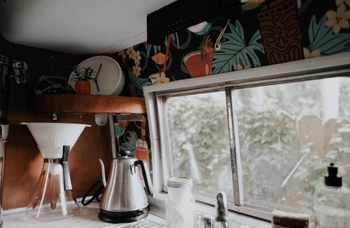 DeKalb County House | Tropical Airstream Oasis with Sauna, pool and Hot-tubl!