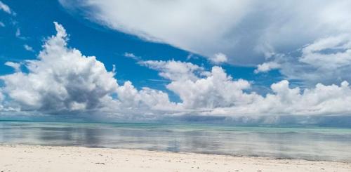 Jambiani Apartment | Tropical Beach Studios