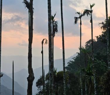 Vayittiri Other | Tropical camping