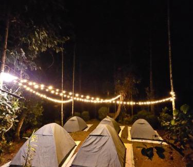 Vayittiri Other | Tropical camping