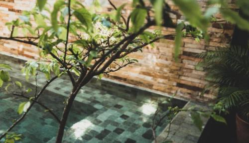 Jijoca de Jericoacoara House | Tropical House - Villa com piscina perto do mar