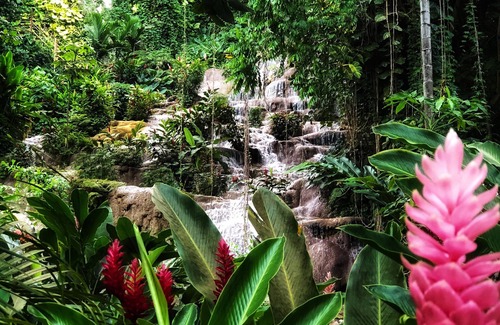 Ocho Rios Villa | Tropical Oasis with River, Pool, Waterfall & Lush Garden,