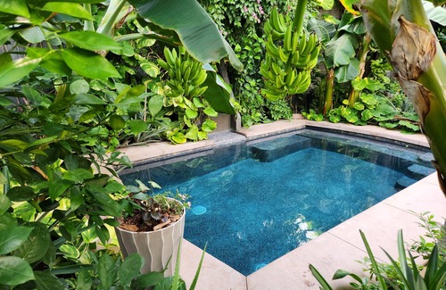 St. George Apartment | Tropical Secret Garden with heated pool