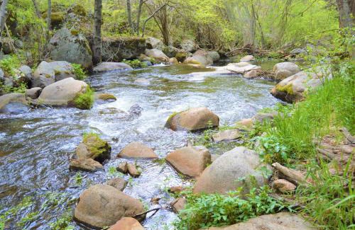 Camp Nelson House | Trout River Cabin - Secluded Riverfront Adventure