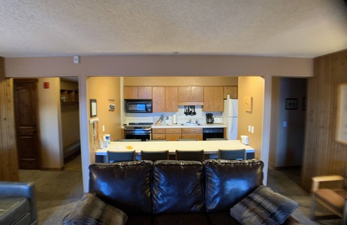 Breckenridge Condo | True Ski-in Ski-Out - Skiwatch 318 at Peak 8