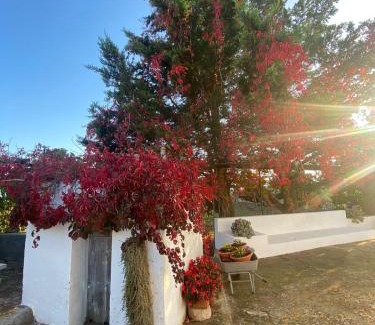 Martina Franca House | Trulli Demetra