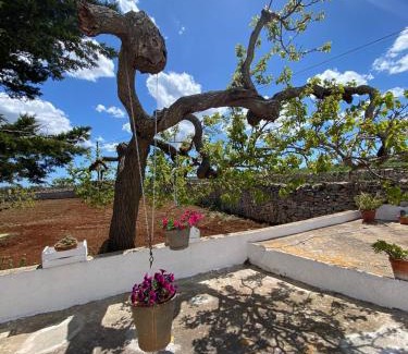 Martina Franca House | Trulli Demetra
