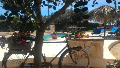 Martina Franca Villa | Trulli