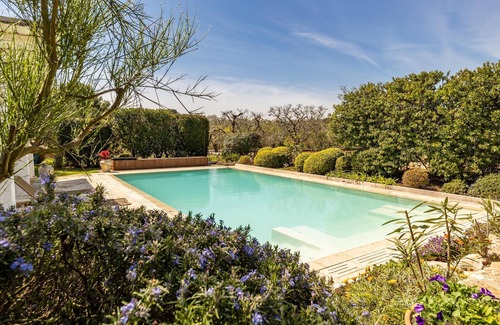 Cisternino Cottage | Trullo Patricia Pool - Cisternino