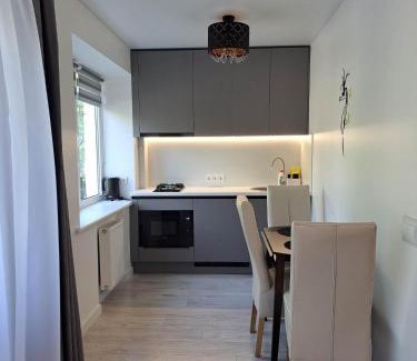 Siauliai City Center Apartment | Trumpalaikė apartamentų nuoma centre (Vytauto g.)