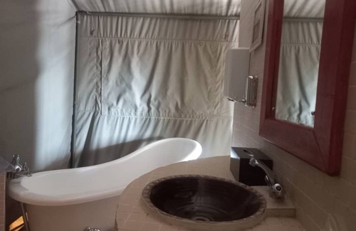 Kgalagadi District Hotel | Tsabong Eco-Tourism Camel Park