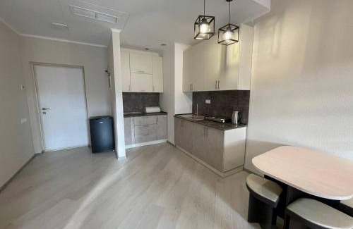 Tsaghkadzor Apartment | Tsaghkadzor Alvina Hotel
