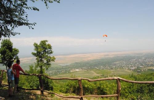 Sighnaghi Apartment | Tsanava's cottage in Sighnaghi