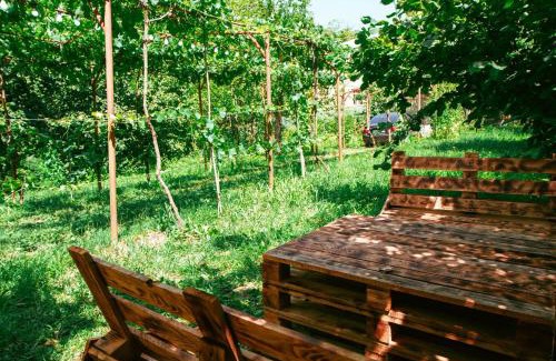 Ambrolauri House | tsereteli's house